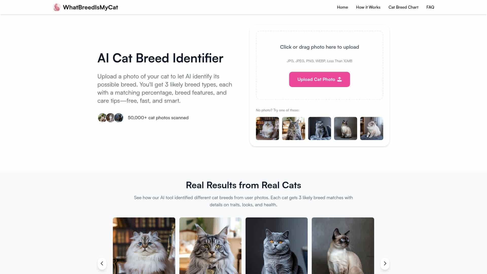 WhatBreedIsMyCat Review – Honest Insights on the Free AI Tool