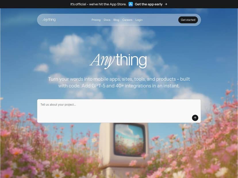 Anything
