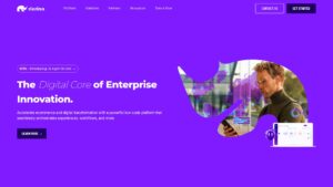 Rierino Review - Simplifying Digital Innovation rierino