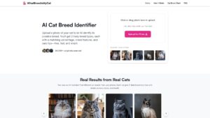WhatBreedIsMyCat Review - Honest Insights on the Free AI Tool whatbreedismycat