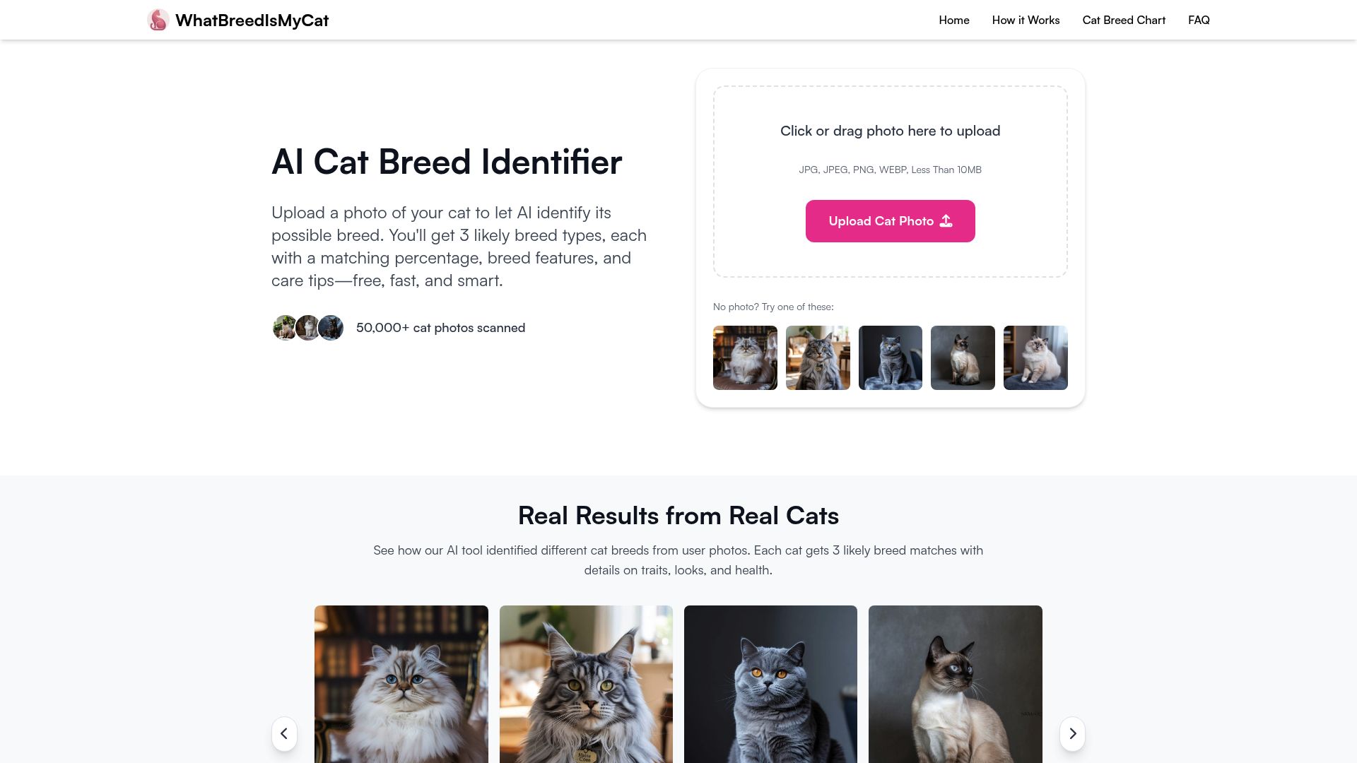 whatbreedismycat